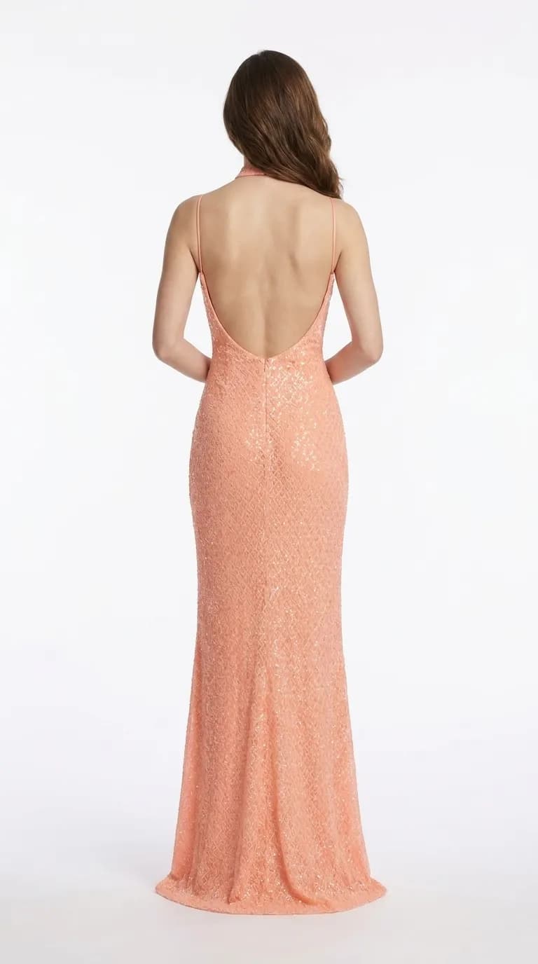 Vestido Aurora, Gala